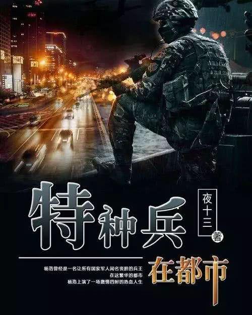 都市暗影，特种兵夜十三的隐秘守护