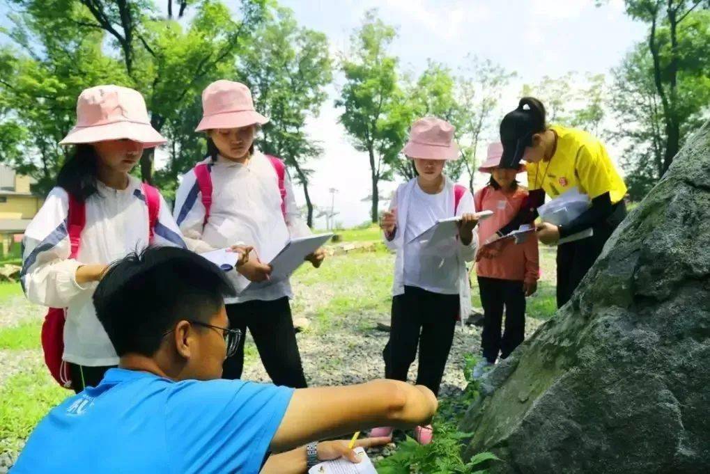 沈浪，网络文学界更新最快的速度之王