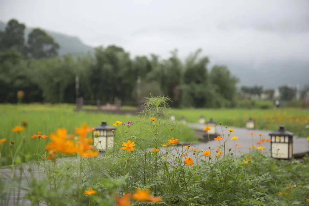 穿越锦绣田园，一场心灵与自然的深度对话