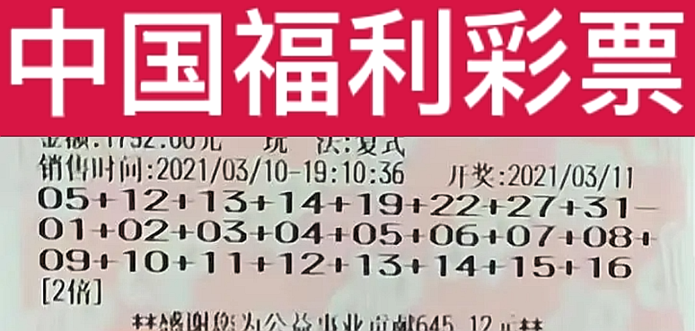 2035年双色球今晚开奖结果查询，科技与公益的完美融合