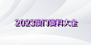 澳门正版开奖资料2035，未来彩票的智慧与特色