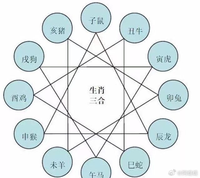 揭秘二四六管家婆生肖表，传统与迷信的交织