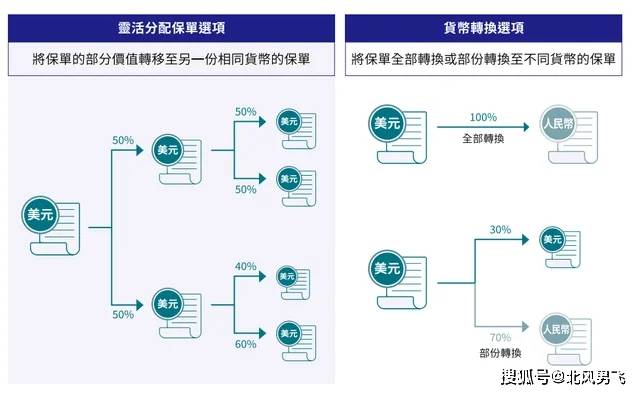 揭秘六开奖香港，历史结果记录与概率分析