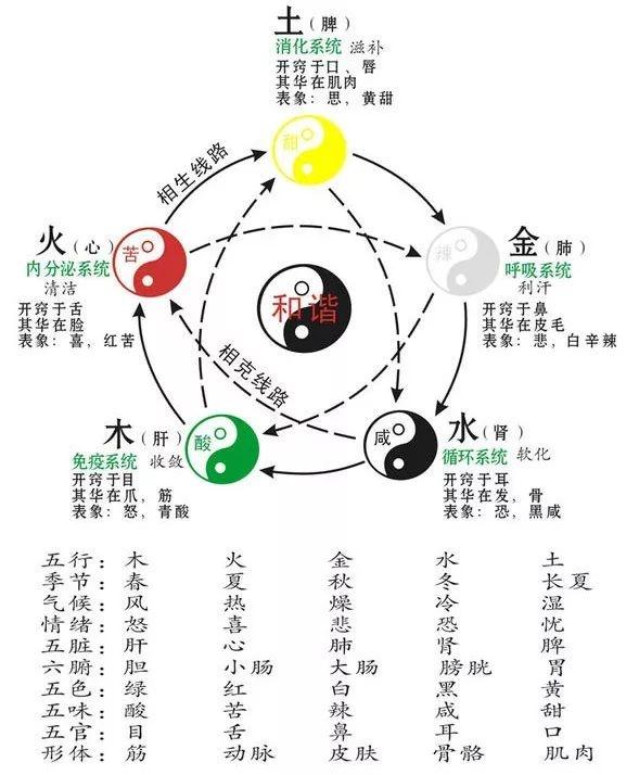 排列三与五行走势图，彩经网上的数字艺术