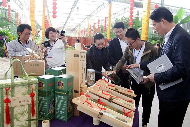 探索双彩图的魅力，色彩与创意的双重盛宴