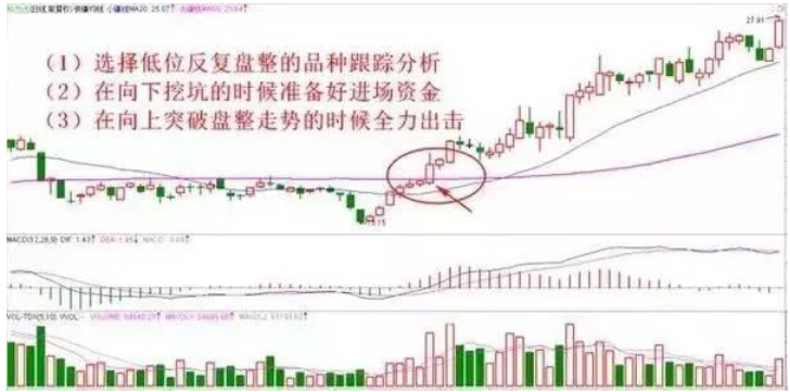 排列五综合走势图开奖结果查询，深度解析与实用指南