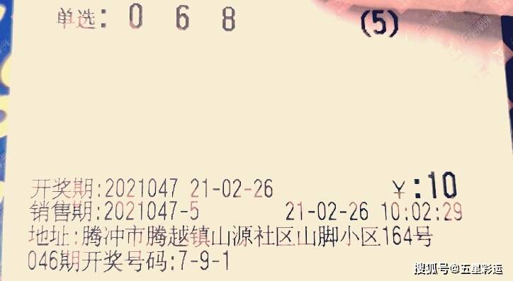 2019年第7期排列三，数字的魔法与幸运之舞