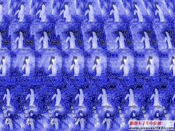 探索视觉盛宴，3D立体图片大全大图解析