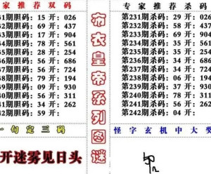 福彩3D字谜总汇，九L的奥秘与魅力