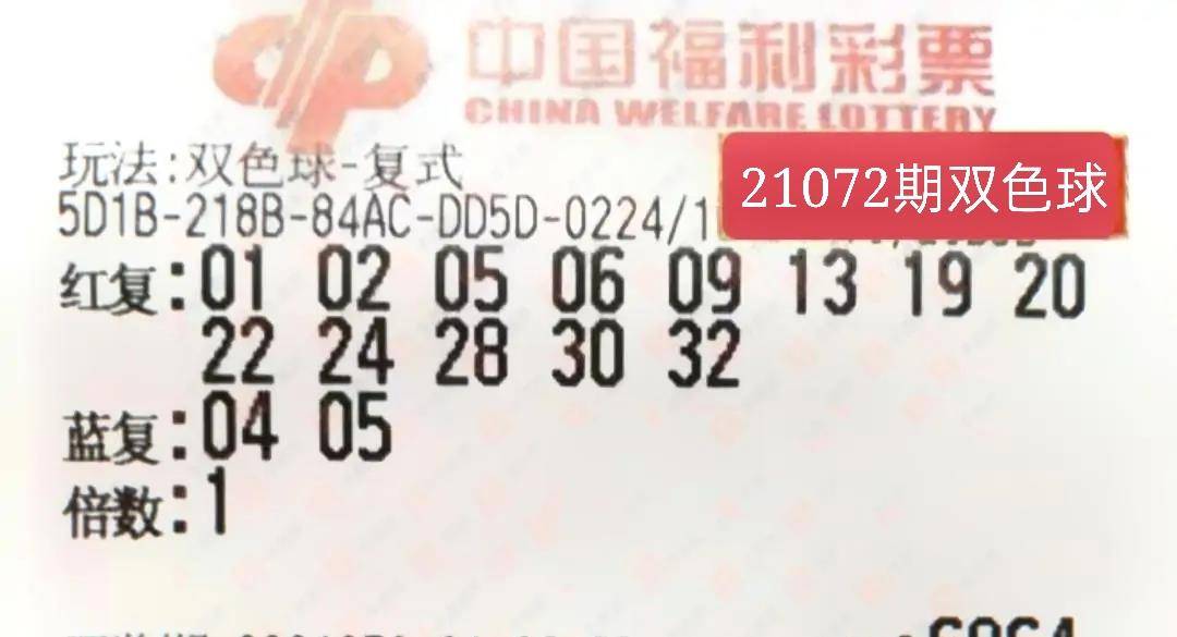 2046年双色球第135期开奖结果揭晓，幸运数字照亮梦想之光