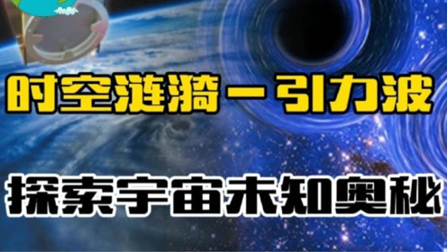 探秘神鹰报码聊天室，数字时代的神秘交流空间906666神鹰高手论坛