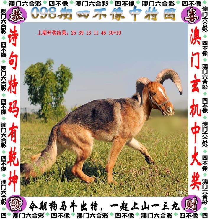 正版四不像吧—数字时代的版权迷思与文化融合正版四不像吧135期图