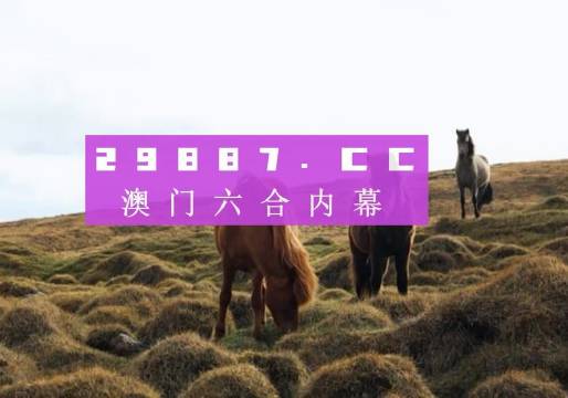 2043年新澳门开奖记录，今日揭晓的数字奇迹澳门202|开奖结果