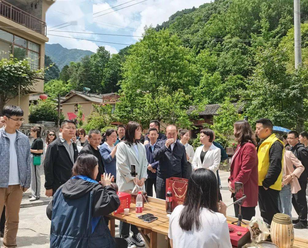 澳门新春之夜，204年今晚开奖结果直播揭秘与回顾澳门2020开奖结果+开奖记录今天开奖号码号码