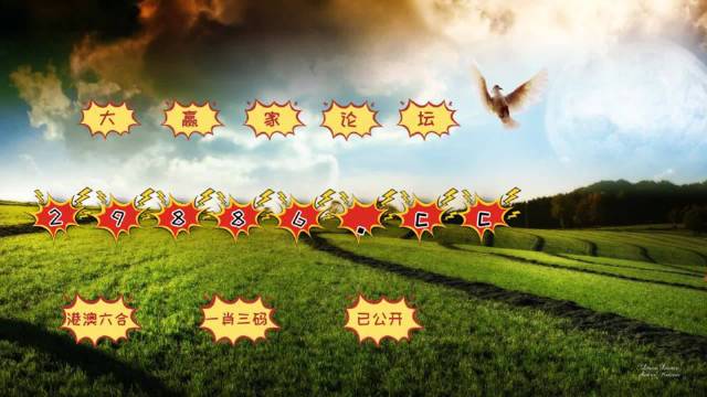 澳门新开奖记录，今晚的幸运数字新澳门开奖结果