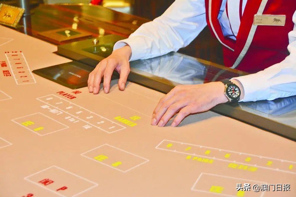 澳门新走势图，最新更新内容及发展阶段解析新浪澳门即时动态