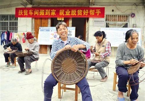 澳门走势图分析，新视角下的家禽野兽特征澳门综合走势图