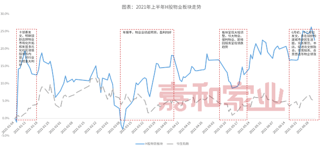澳门新走势，深度解析最新版分布图与表格新澳门走势图分布图表格最新版下载